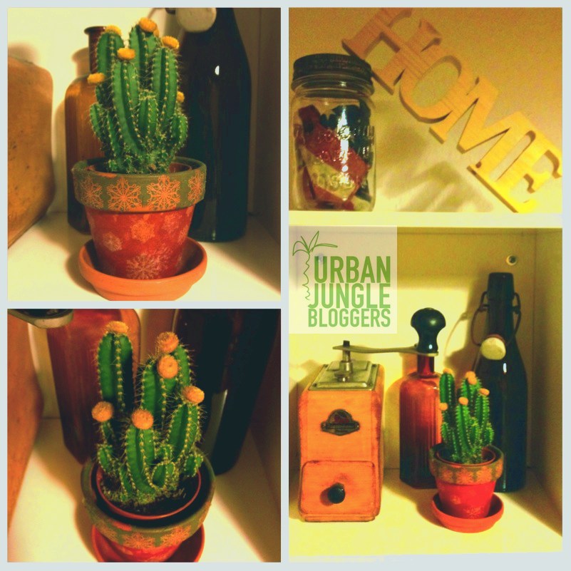 Urban Jungle Bloggers - My Plant Shelfie2