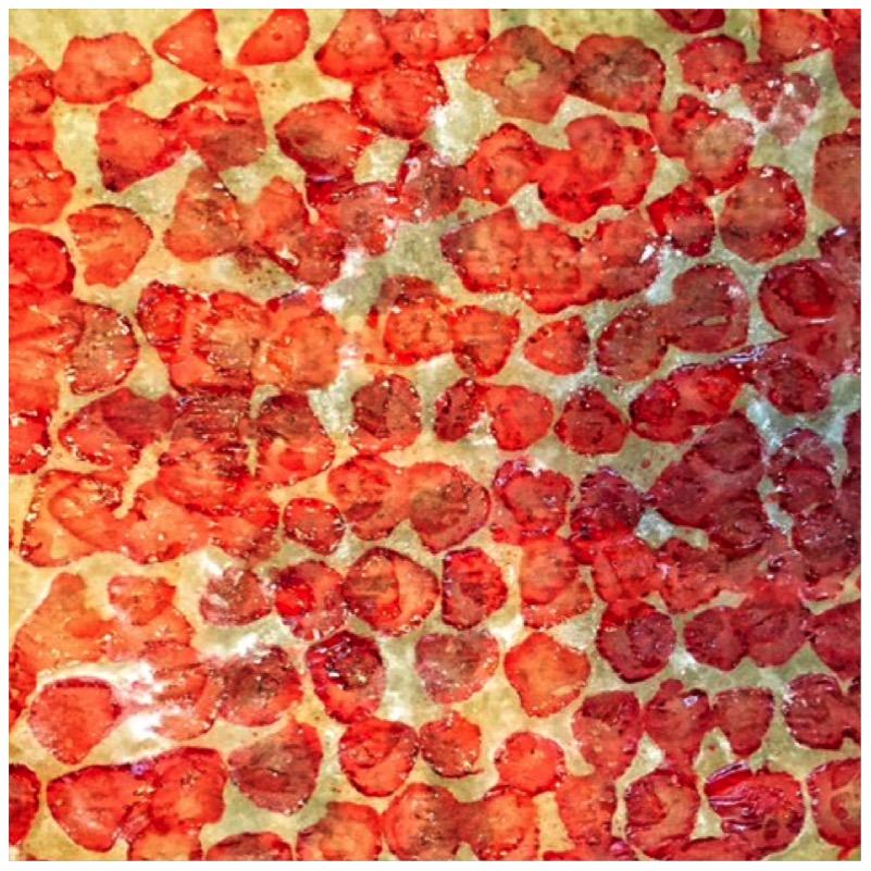 Strawberry Chips - getrocknete Erdbeeren