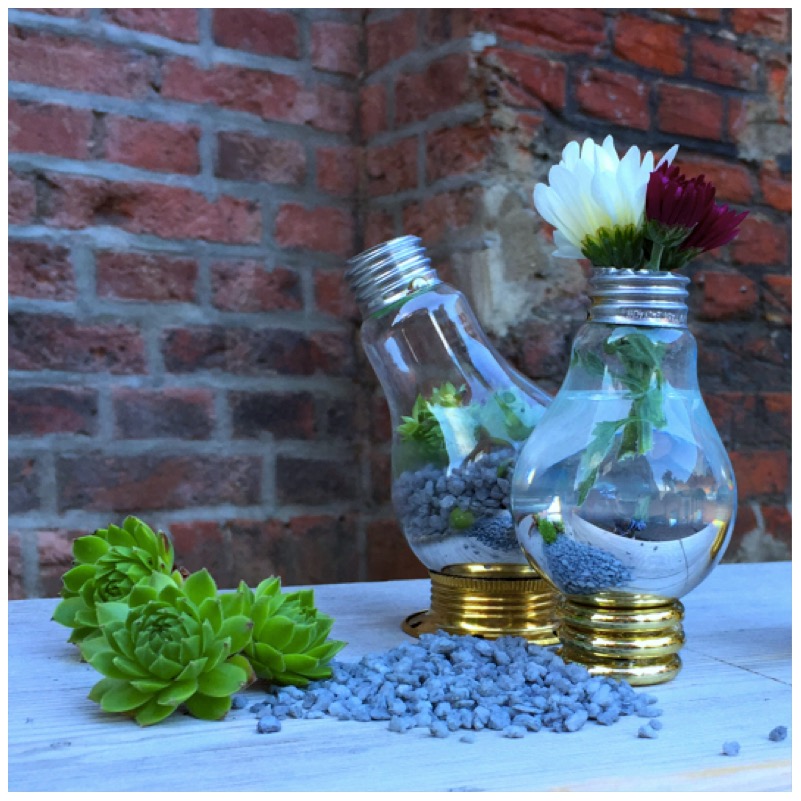Vasen und Terrarien aus alten Glühbirnen von eat blog love