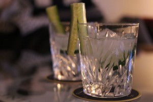 Der Klassiker - Gin & Tonic
