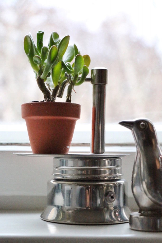 Urban Jungle Bloggers - Kitchen Greens | eat blog love