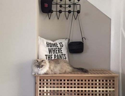 Ikea Hack: Katzenklo stilvoll in einer Sitztruhe integriert by eat blog love