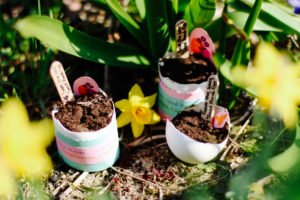 DIY Seed Bomb Eggs für Ostern by eat blog love