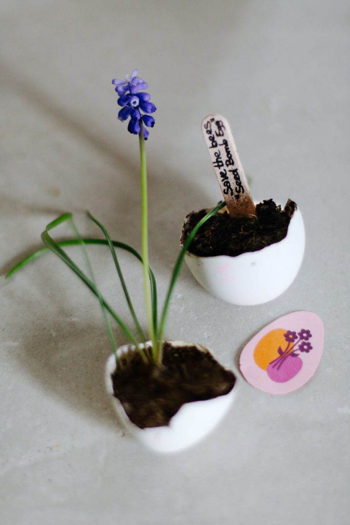 Save the bees: DIY Seed Bomb Eggs für Ostern by eat blog love